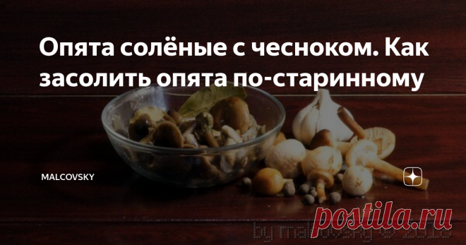 Опята солёные с чесноком. Как засолить опята по-старинному Классика - солёные опята с чесноком. Как и другие соленые грибы они являются традиционным старинным блюдом русской кухни.
Эту великолепную закуску приготовить довольно просто.
