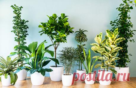 Результат видно сразу.