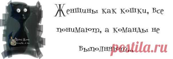 Весеннее настроение!