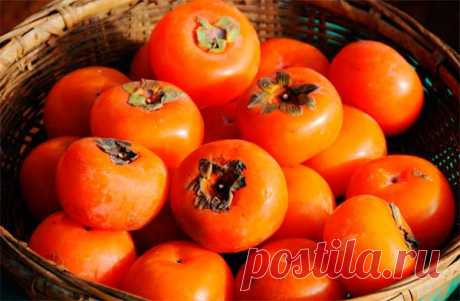 Правда о хурме: польза и вред, чем полезна и чем опасна Все, что должен знать о хурме каждый: польза и вред, чем полезна и каковы противопоказания, почему полезные свойства существуют не для всех людей.