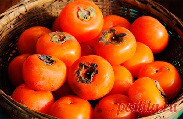 Правда о хурме: польза и вред, чем полезна и чем опасна Все, что должен знать о хурме каждый: польза и вред, чем полезна и каковы противопоказания, почему полезные свойства существуют не для всех людей.