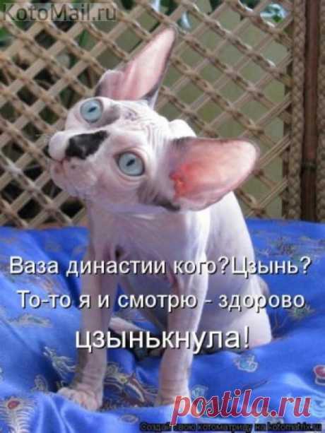 Цзынькнула