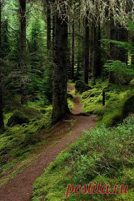 (162) Pinterest