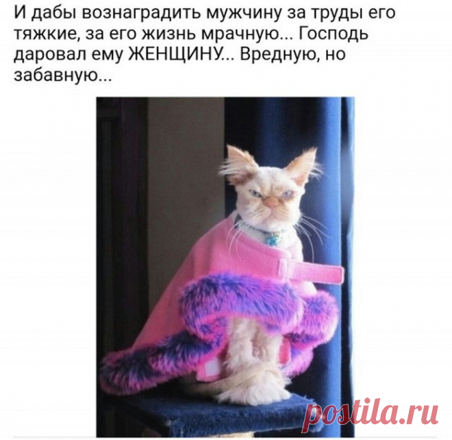 ТРИНАДЦАТЬ ФРАЗОЧЕК В ЧЕТВЕРГ