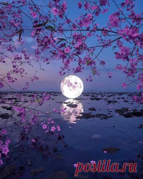 Только  красивые картинки. — Разное,прекрасное. | OK.RU