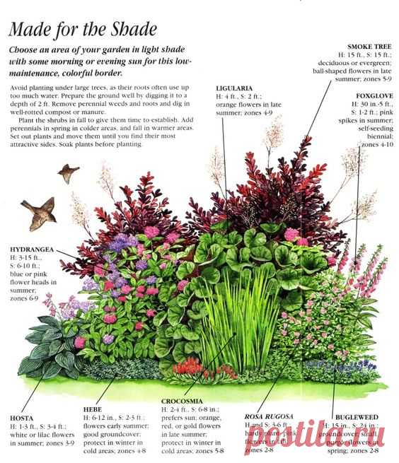 Pinterest • Всемирный каталог идей