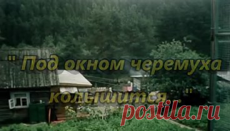 Под окном черемуха колышется _ Александр Михайлов -Таисия Повалий
