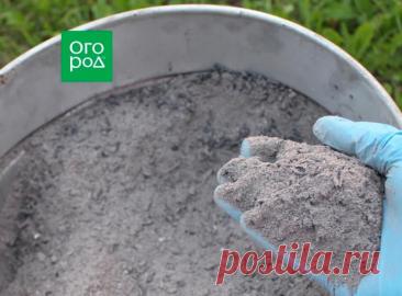 Список лучших удобрений для весны: органика, "минералка", смеси | undefined (undefined)