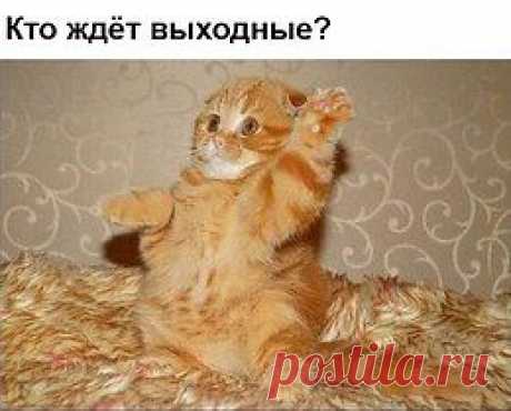 На позитиве 18+