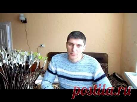 Стимуляторы каллусо образования на прививках. Эксперимент-результат.