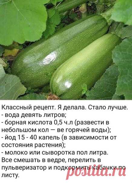 Клaccный рeцeпт