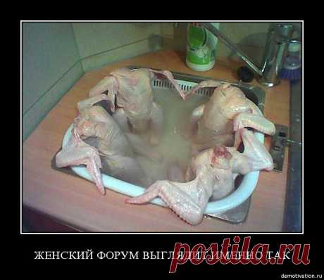 шутка на кулинарную тему | Don Аппетит