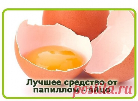 Лучшее средство по борьбе с папилломами - яйцо
Куриное яйцо помогает избавиться даже от многочисленных папиллом. Но его можно использовать только тем людям, которые не склонны к аллергическим реакциям. Наружное применение может спровоцировать аллергию даже в том случае, если вы без каких-либо проблем едите эти самые яйца. Если вы сомневаетесь, проведите тест – на небольшой участок кожи в области локтевого сгиба нанесите выбранное средство и оставьте на 10 минут. Если аллергической реакции не на