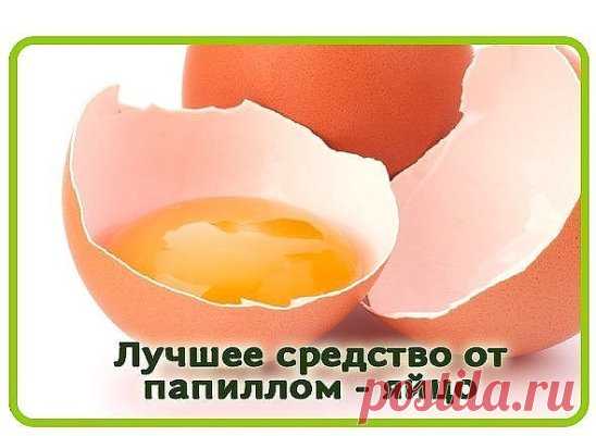 Лучшее средство по борьбе с папилломами - яйцо
Куриное яйцо помогает избавиться даже от многочисленных папиллом. Но его можно использовать только тем людям, которые не склонны к аллергическим реакциям. Наружное применение может спровоцировать аллергию даже в том случае, если вы без каких-либо проблем едите эти самые яйца. Если вы сомневаетесь, проведите тест – на небольшой участок кожи в области локтевого сгиба нанесите выбранное средство и оставьте на 10 минут. Если аллергической реакции не на