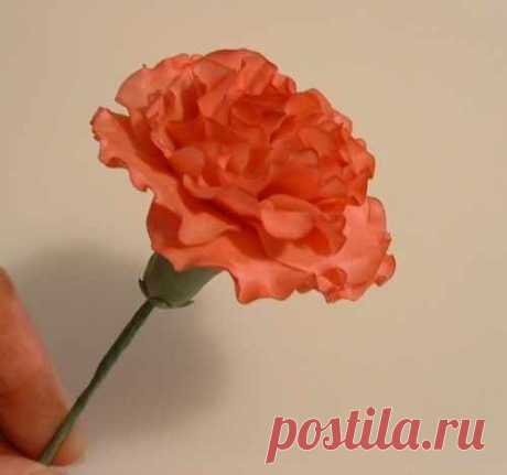 Sugar Carnation tutorial