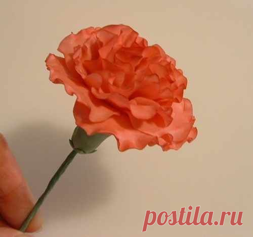 Sugar Carnation tutorial
