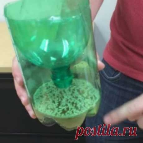 Как вырвать зуб без боли - МирТесен