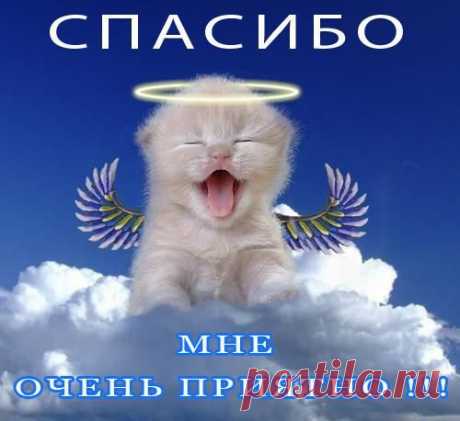 Загрузка файла