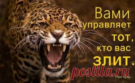 Интересные новости