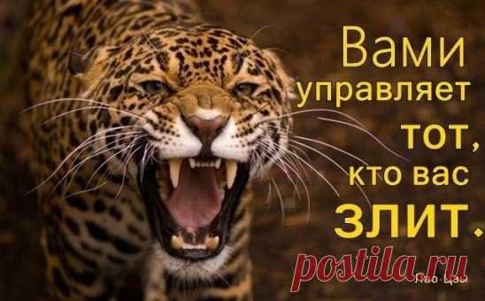 Интересные новости