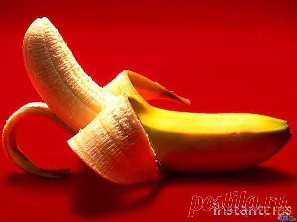 Интересные факты о бананах 

Банан это ягода, растение которого не имеет твердого ствола. Иногда стебель банановой травы может достичь 10 метров в высоту. На одном стебле может висеть по 300 плодов, которые достигают 500 кг. 

Бананы бывают не только желтые, встречаются и красные, но они не поддаются транспортировке, так как быстро портятся.