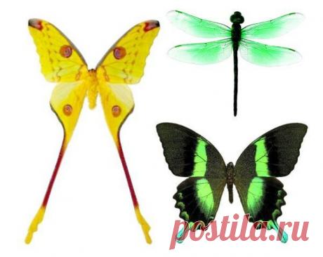 Картинки для творчества | 1 772 фотографии | ВКонтакте