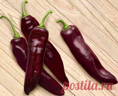 Перец палермо вкус Огород без хлопот - информационный сайт для дачников, садоводов и огородников.
