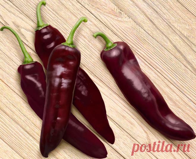Перец палермо вкус Огород без хлопот - информационный сайт для дачников, садоводов и огородников.