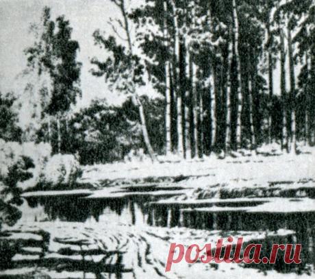 120 лет со дня рождения латышского художника Артура Апиниса — NashTeatr.com