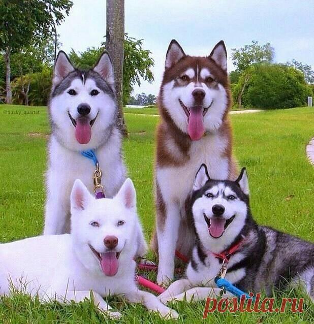 Доброе утро, друзья!
Всем хорошего настроения и удачи!.