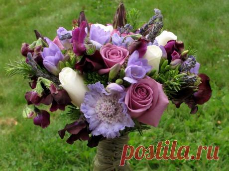 В гостях у Михалыча