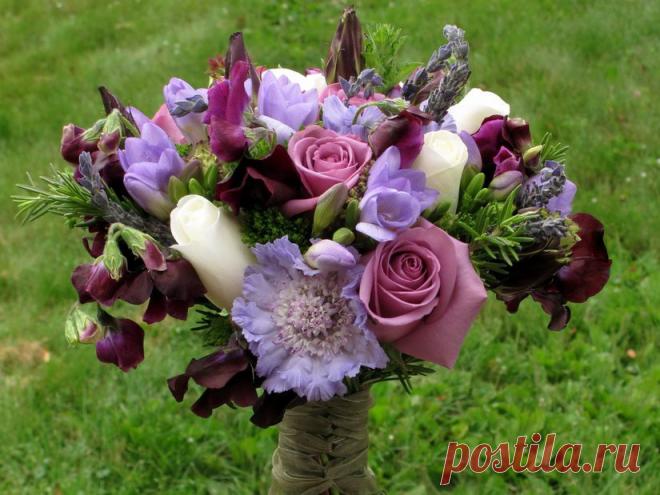 В гостях у Михалыча