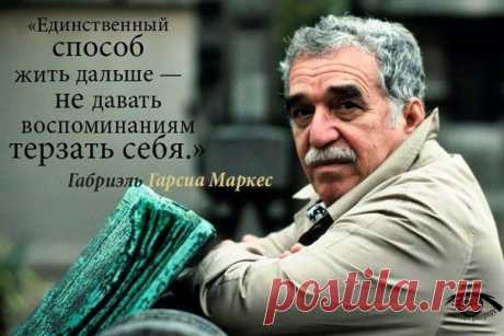15 советов от Габриэля Гарсиа Маркеса ☝ | Хозяин и Хозяюшка