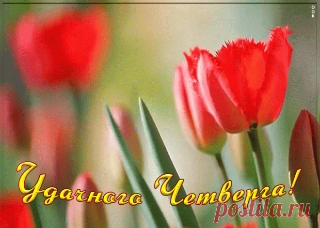 Пожелание удачного четверга