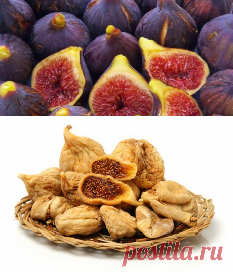 Польза и вред инжира для здоровья человека, видео

Господа, в этой статье собрана основная информация об этом древнейшем растении. Чем полезен инжир для организма и какие есть противопоказания. Родиной чудо-фрукта считается Малая Азия или Анатолия (часть территории современной Турции). Растет в теплых странах. Имеет много имен: смоква, смоковница, винная ягода, фига. О фиговом листе слышали все. Этот лист был первой одеждой Адама и Евы. Древнегреческий философ и естествоиспытатель Теофраст