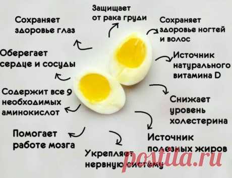 Марафон &quot;Худеем, не спеша&quot;: ода куриным яйцам | Дамы, давайте худеть вместе | Яндекс Дзен