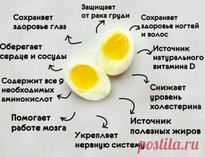 Марафон "Худеем, не спеша": ода куриным яйцам | Дамы, давайте худеть вместе | Яндекс Дзен