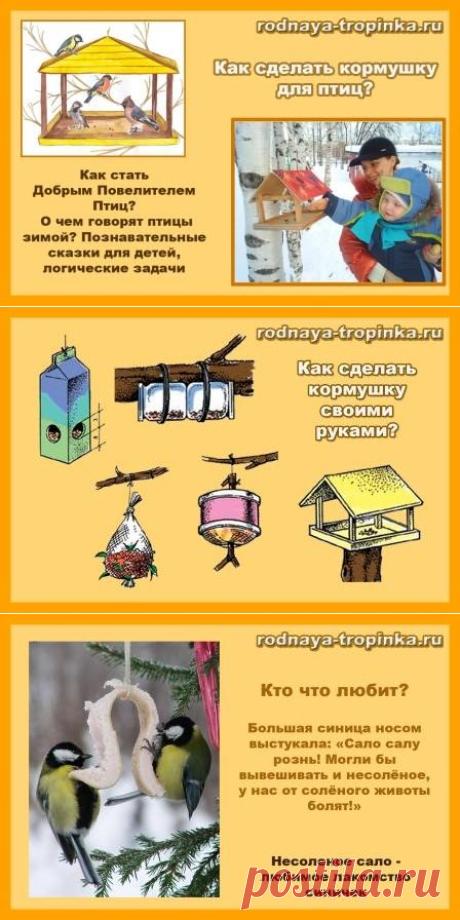 Как сделать кормушку для птиц