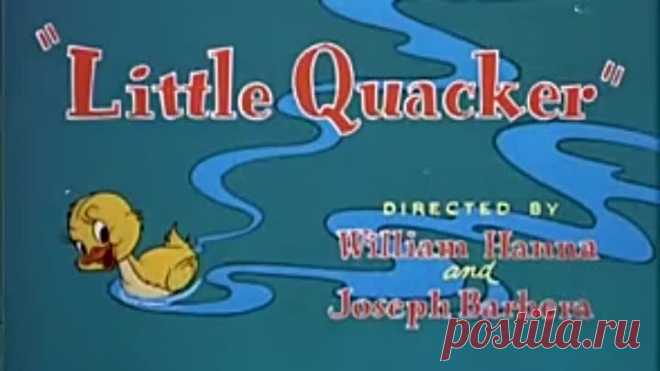 Том и Джерри (БГ)