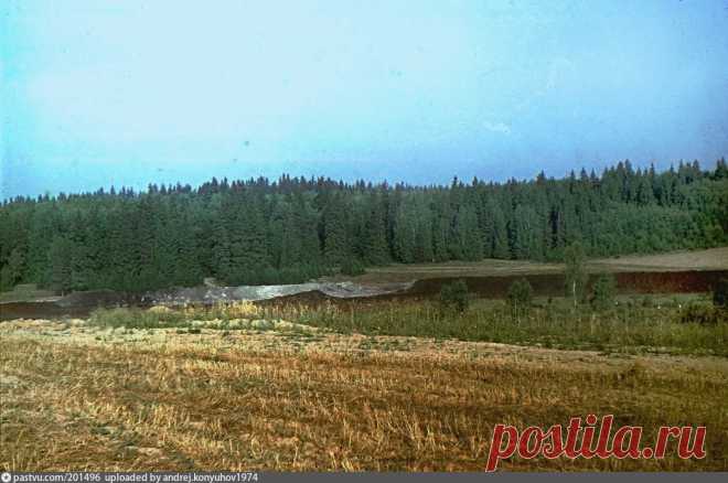 Урочище Озёрка около дер. Иглово - Фотографии прошлого
