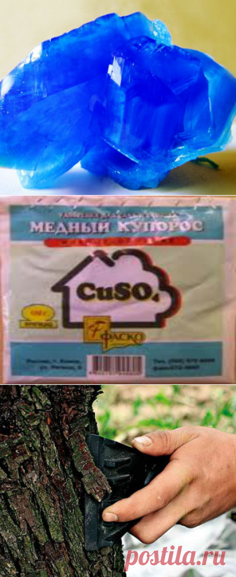 Медный купорос - применение в садоводстве