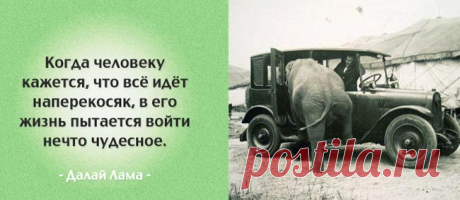 Мудрые фразы для переосмысления вашей жизни
Каждый человек уникален и необычен, у каждого свой взгляд на мир, любовь, дружбу и другие стороны жизни. Однако есть мнения, в том числе и великих мыслителей, с которыми никто не может поспорить, ведь эти мнения озвучивают истину и заставляют задуматься. Мы собрали известные и умнейшие фразы, прочитав которые, вы узнаете что-то новое, а возможно задумаетесь […]
Читай пост далее на сайте. Жми ⏫ссылку выше