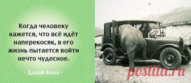 Мудрые фразы для переосмысления вашей жизни
Каждый человек уникален и необычен, у каждого свой взгляд на мир, любовь, дружбу и другие стороны жизни. Однако есть мнения, в том числе и великих мыслителей, с которыми никто не может поспорить, ведь эти мнения озвучивают истину и заставляют задуматься. Мы собрали известные и умнейшие фразы, прочитав которые, вы узнаете что-то новое, а возможно задумаетесь […]
Читай пост далее на сайте. Жми ⏫ссылку выше