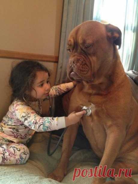 27 Dogs That Will Do Anything For Kids