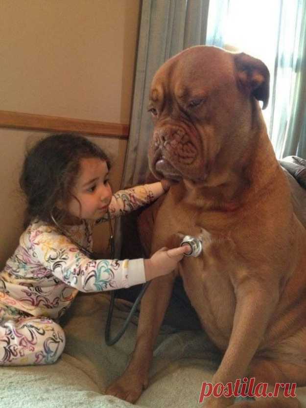 27 Dogs That Will Do Anything For Kids