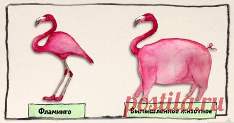 Чем опасен вирус герпеса? / Будьте здоровы