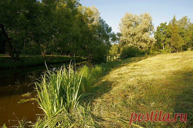 Русское раздолье.