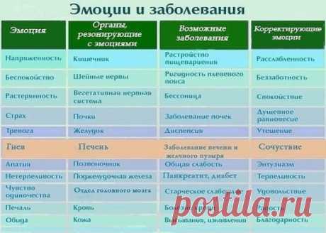 НЕГАТИВНЫЕ МЫСЛИ ФОРМИРУЮТ НЕГАТИВНЫЕ ЧУВСТВА
Чувства выражаются через эмоции. Длительное нахождение в состоянии не радостных эмоций создаёт в теле перенапряжение и, как следствие, болезнь.
В таблице на фото представлена информация к размышлению – к чему могут привести негативные эмоции и чувства.