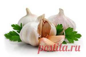 Как приготовить настойку чеснока для похудения? &#8212; Диеты со всего света