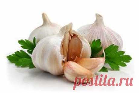 Как приготовить настойку чеснока для похудения? &amp;#8212; Диеты со всего света